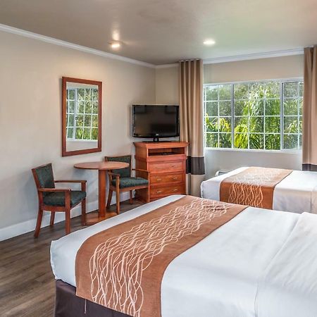 The Inn At 1252 Monterey Esterno foto