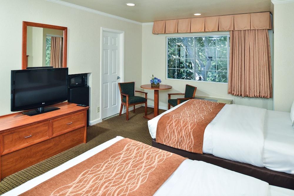 The Inn At 1252 Monterey Esterno foto