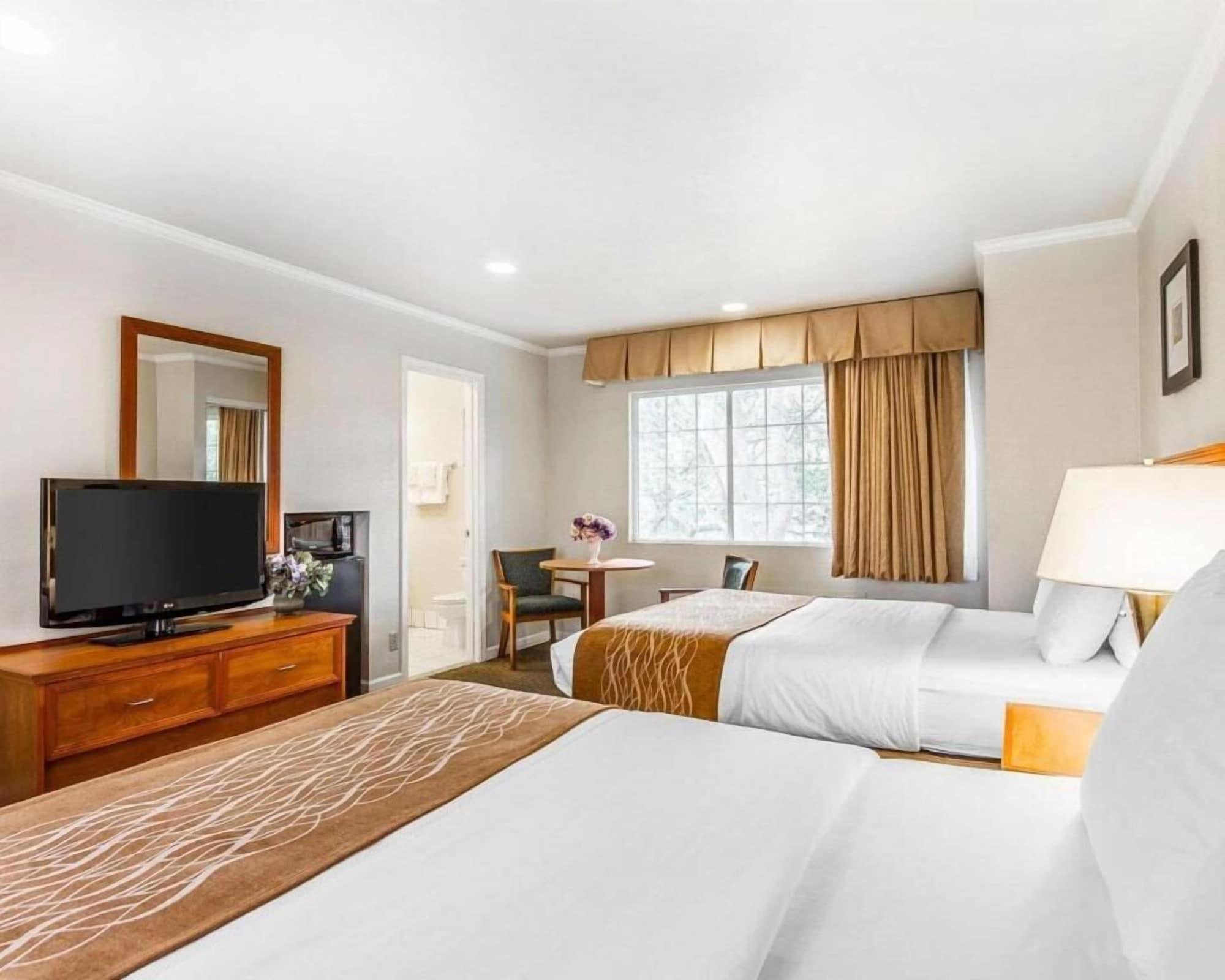 The Inn At 1252 Monterey Esterno foto