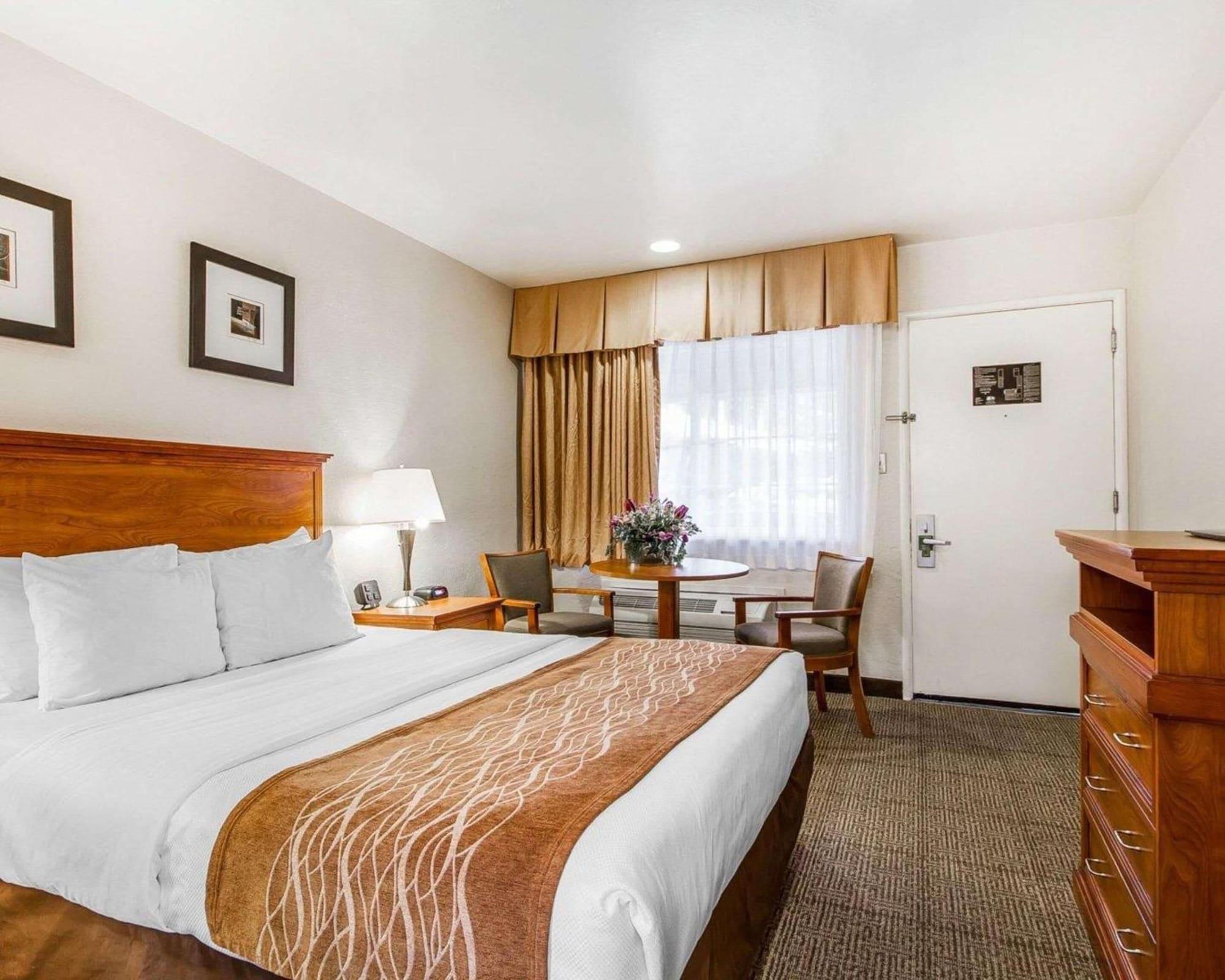 The Inn At 1252 Monterey Esterno foto