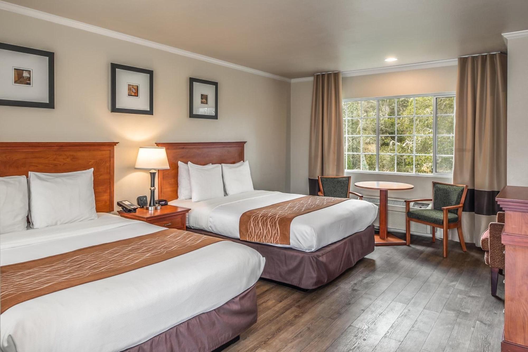 The Inn At 1252 Monterey Esterno foto