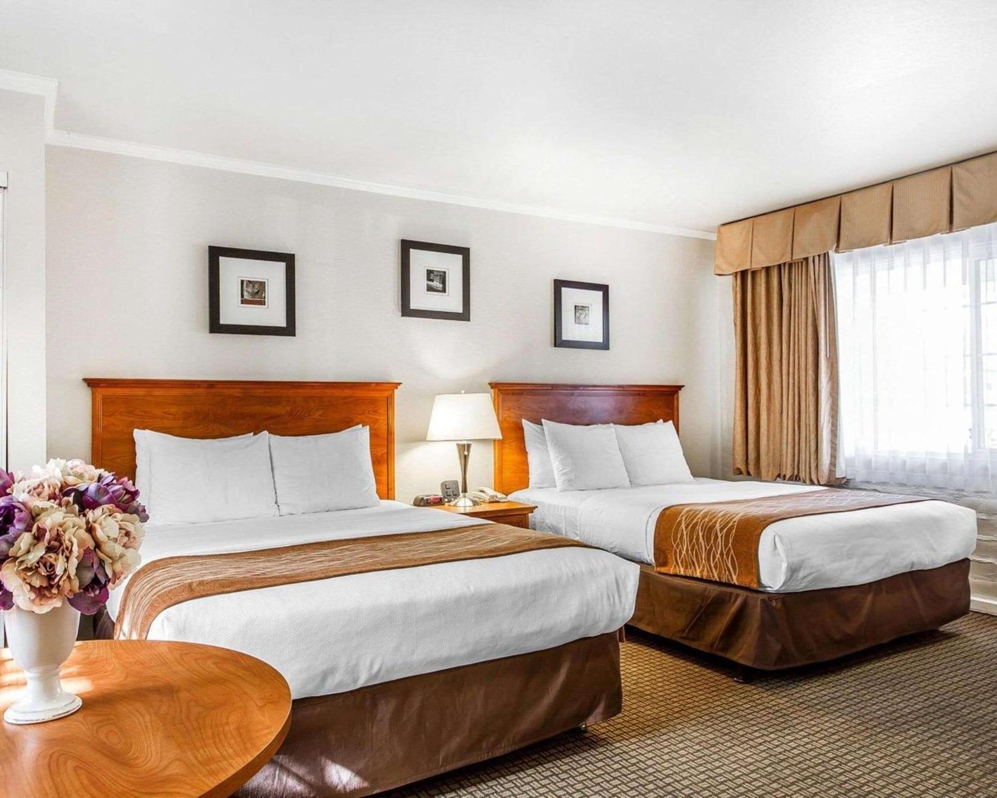The Inn At 1252 Monterey Esterno foto