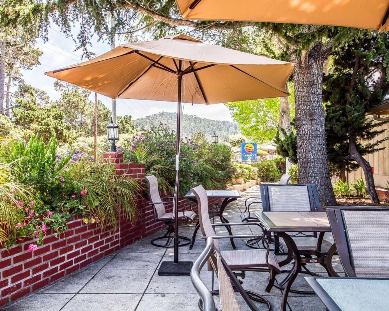 The Inn At 1252 Monterey Esterno foto