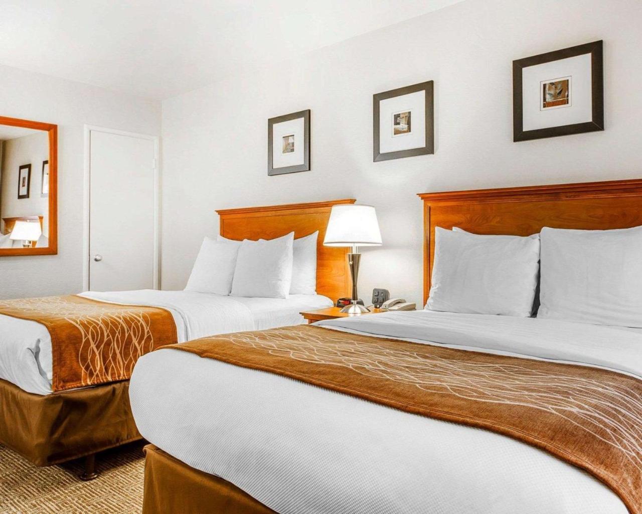 The Inn At 1252 Monterey Esterno foto
