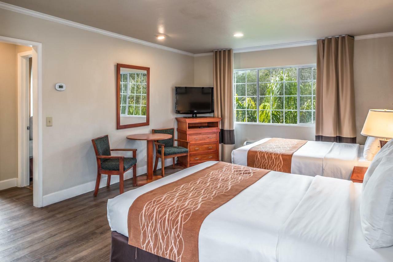 The Inn At 1252 Monterey Esterno foto