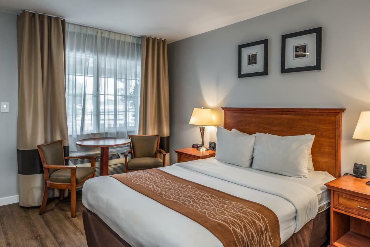The Inn At 1252 Monterey Esterno foto
